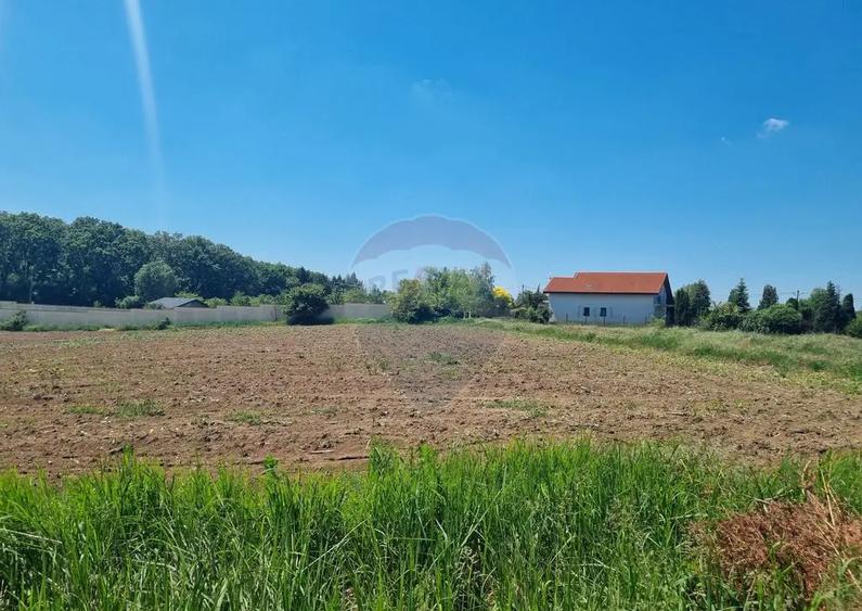 Teren 872,43 mp Snagov - 5