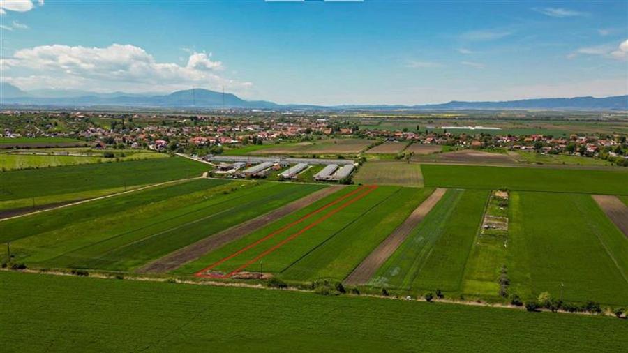 FILM! Teren extravilan 5.000 mp in zona linistita cu acces facil, Bod, Brasov - 3