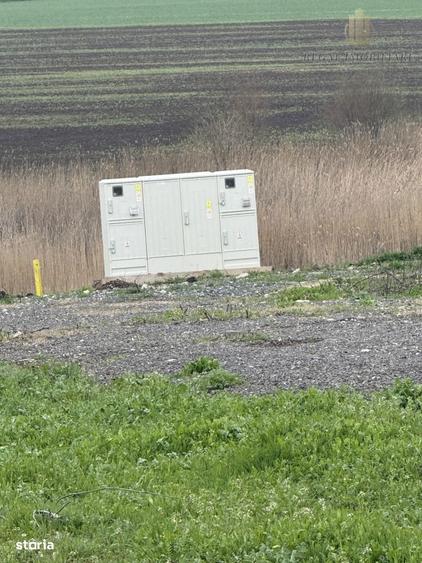 Teren Frumusani Gaz- Curent 400 mp | D.N. 4 - 3