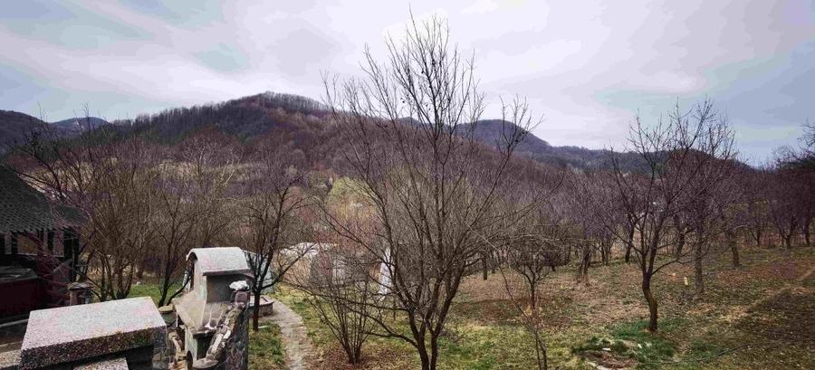 Super proprietate langa Breaza  cu teren  5000Mp , structura solida , cazemata - 10