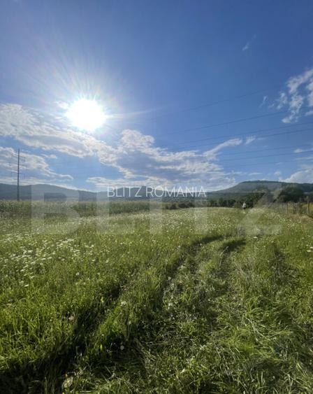 Teren intravilan Vii?oara ideal pentru casa sau invest Teren intravilan Vii?oara ideal pentru casa sau invest