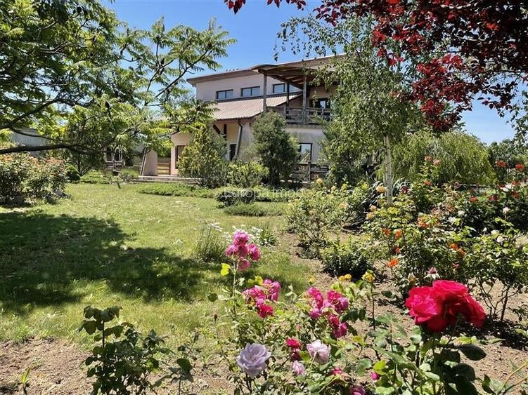 Casa P+M de vanzare in Nufaru Casa P+M de vanzare in Nufaru