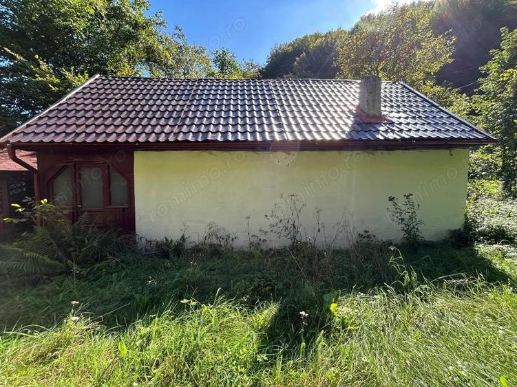 Cabana de vanzare, Valea Manastirii - Ramet - 5