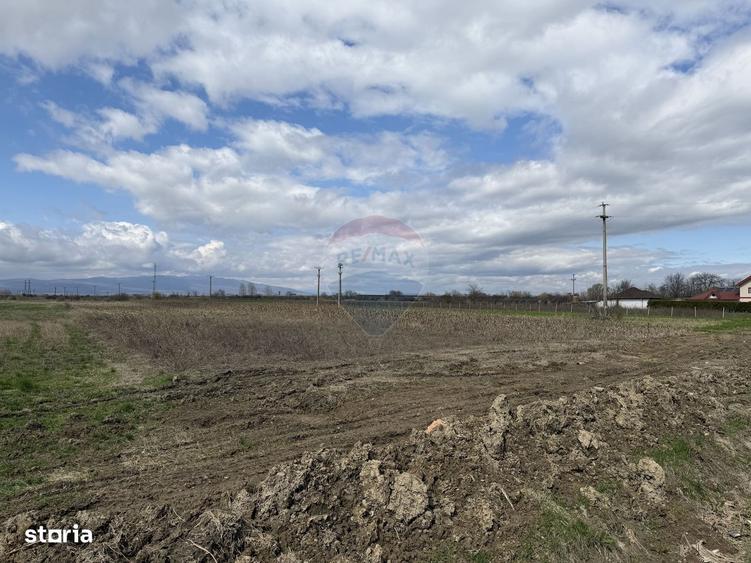 Teren 9,431mp Bizighesti / DJ 205E - 2