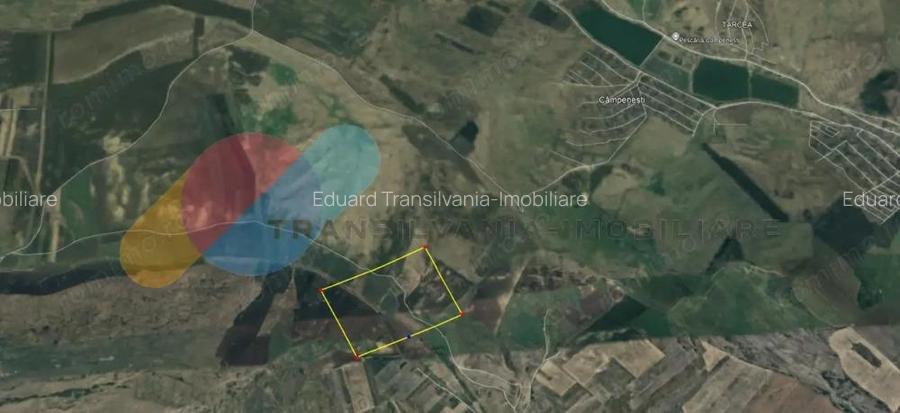 Teren Extravilan 39.867 Mp, zona Campenesti