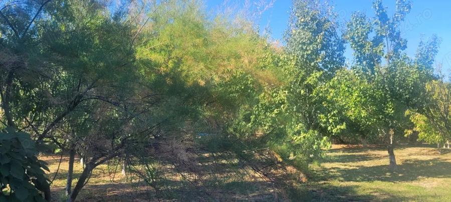 Casa de vanzare in Cornatelu, Dambovita - 1