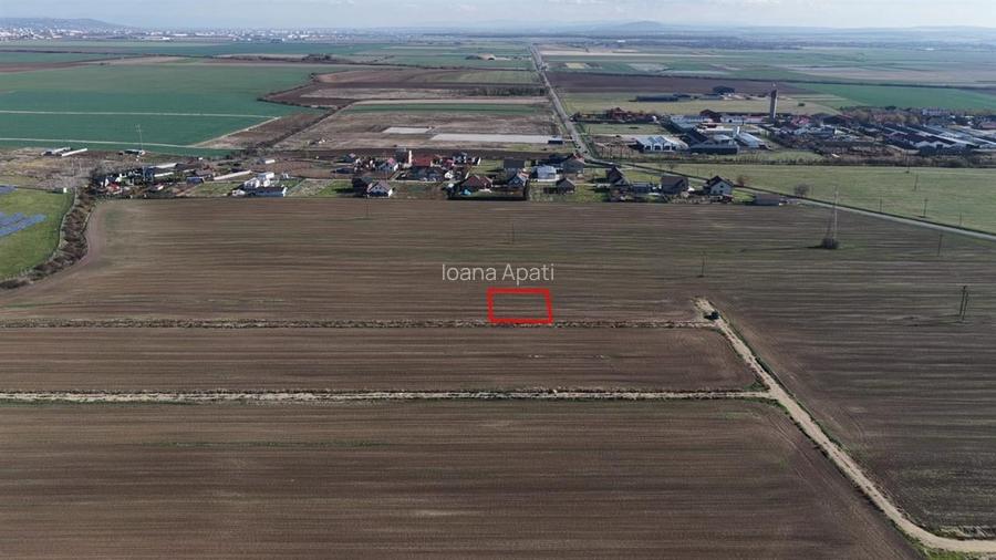 RECO Teren intravilan in LIvada de Bihor