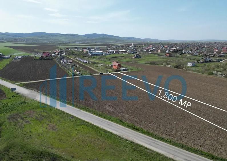 Teren de vanzare, Com. Nicolae Balcescu, Jud. Bacau - 12