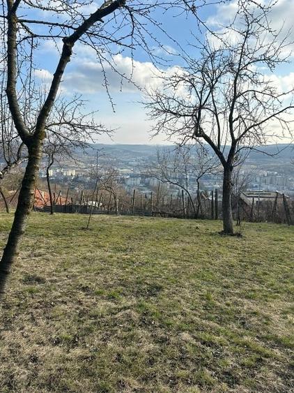 Vand Casa PLATOUL Cornesti str. CORNESTI- teren 1150 mp - 4