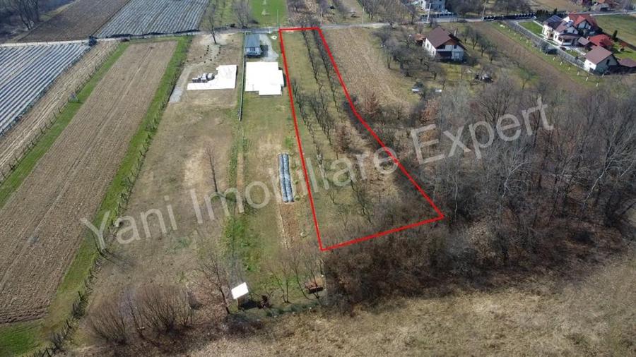 Teren de vanzare in comuna Albe?tii de Arge?, jude? Arge?. - 7