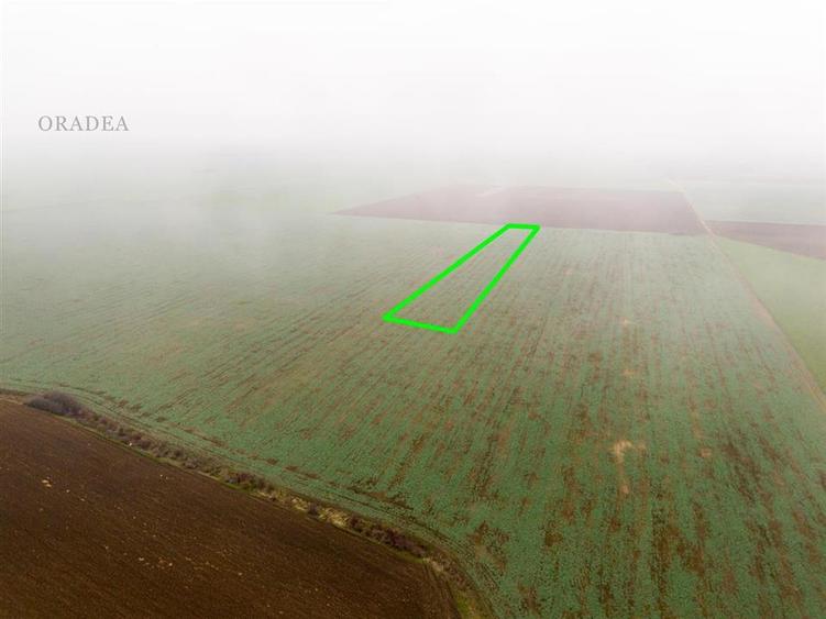 RECO Teren extravilan 5800 mp Livada de Bihor - 9