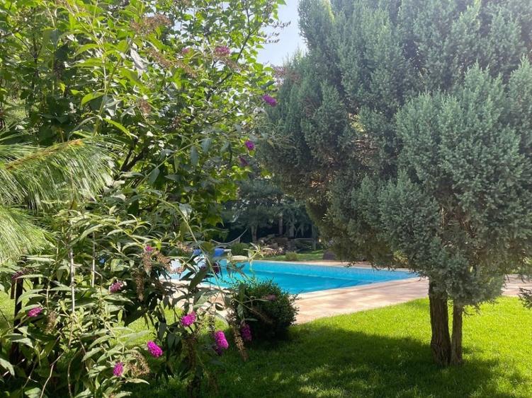 Vila cu piscina Pipera- Iancu Nicolae, Comision 0% - 45