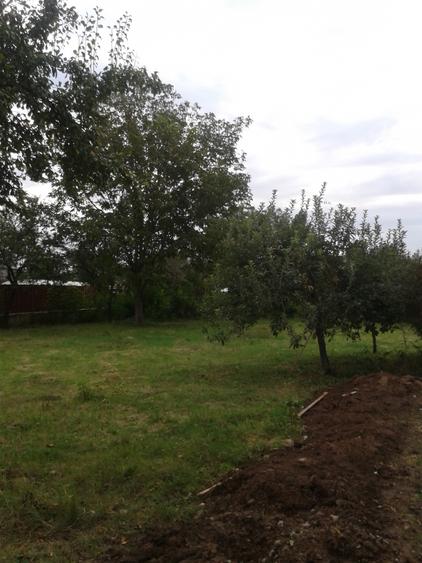 Teren intravilan in localitatea 1 Decembrie, Ilfov - 1