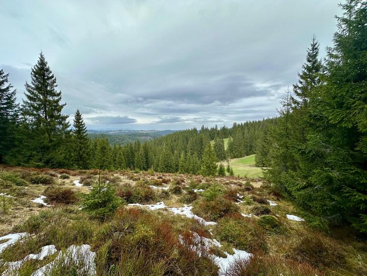 TEREN PARCELABIL, aproape de partia de ski Marisel si Crucea Iancului - 1