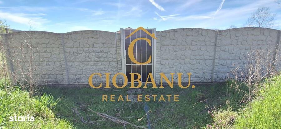 Casa de vanzare in Leamna de Jos - 6