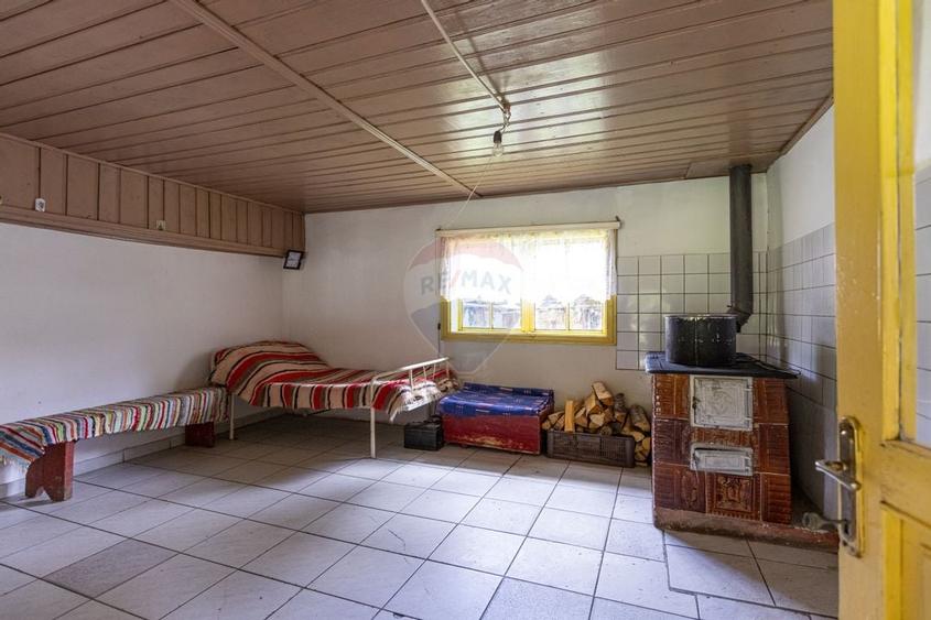 Ferma de vanzare, teren 21436 mp intravilan, Cosnea, Agas - 22