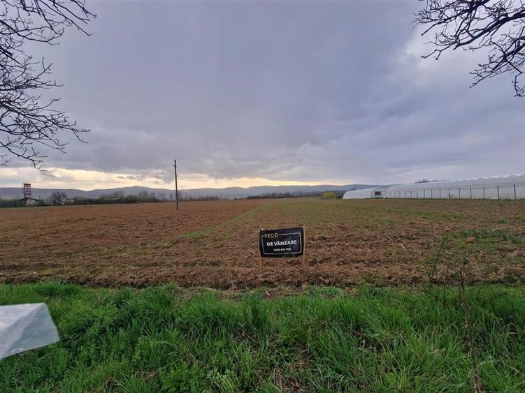 RECO teren intravilan Topa de Cris - 2