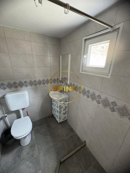 Inchiriere casa - spatiu comercial - 18