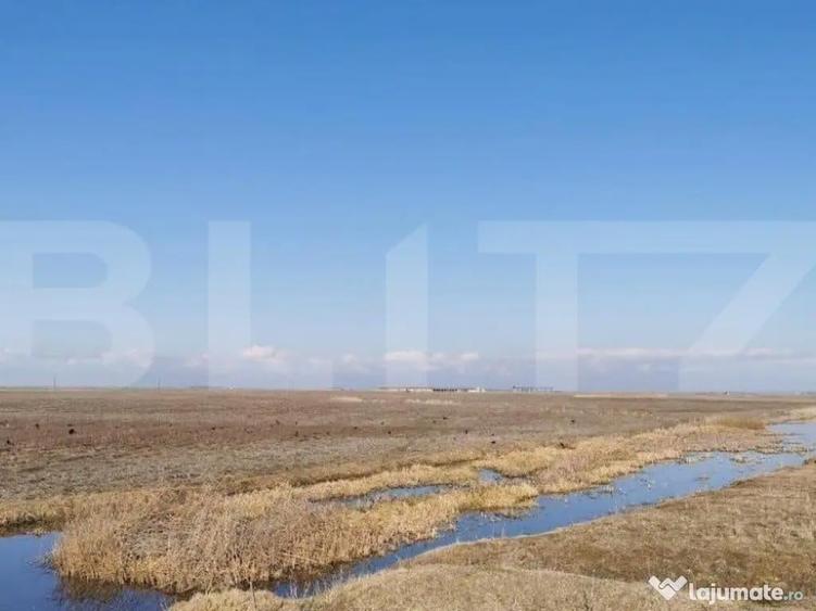 Teren intravilan, arabil, 39 ha, Sanmartinul Sarbesc - 3