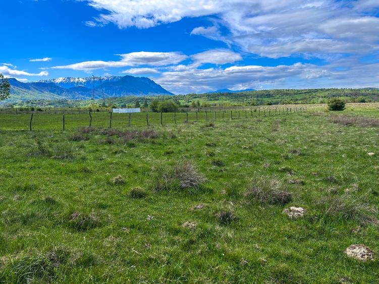 Teren Bran Zarnesti 3 km Castelul Bran 25 km Brasov - 6