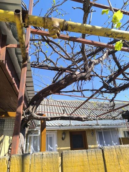 Casa centru Navodari - 3