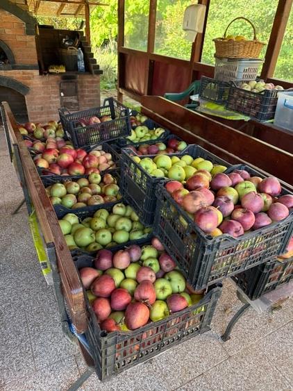 Vand vila Gura Vaii , Girov, jud Neamt - 13