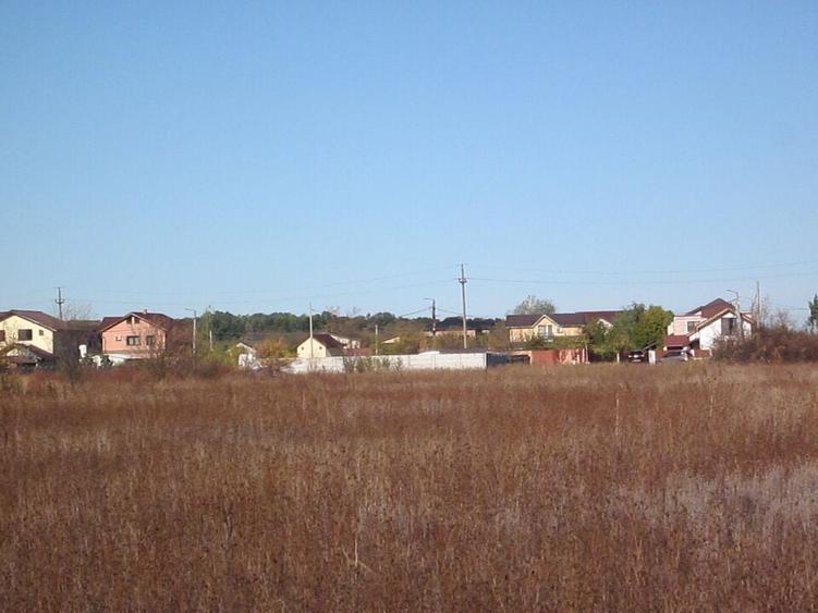 Teghes-Caragea Voda - 2