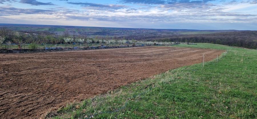 Teren intravilan 3.000 mp – 8 min de Oradea, Săldăbagiu de Munte - 8