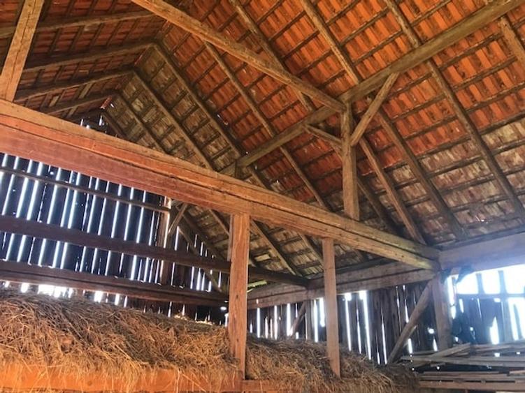 Domeniu de vânzare: 34.530 mp,Casă tip conac,Anexe istorice,perioada interbelică - 4