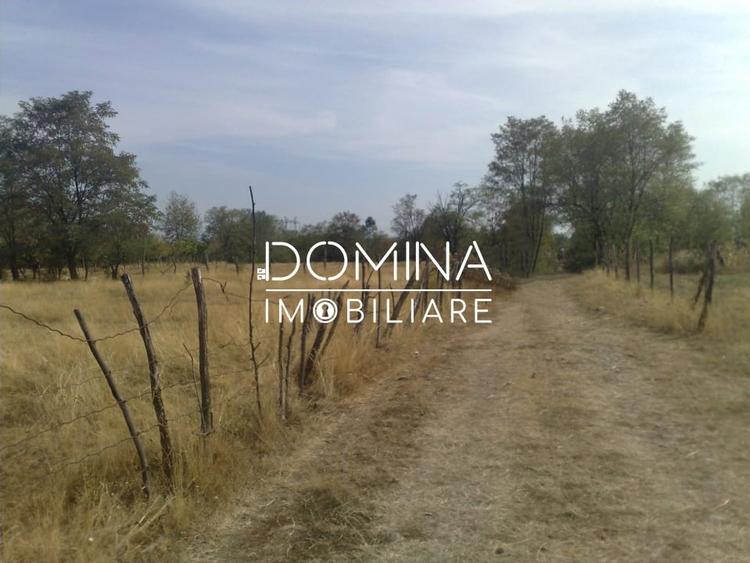 Vanzare teren intravilan 6843 mp, aproape de Manastirea Polovragi - 3