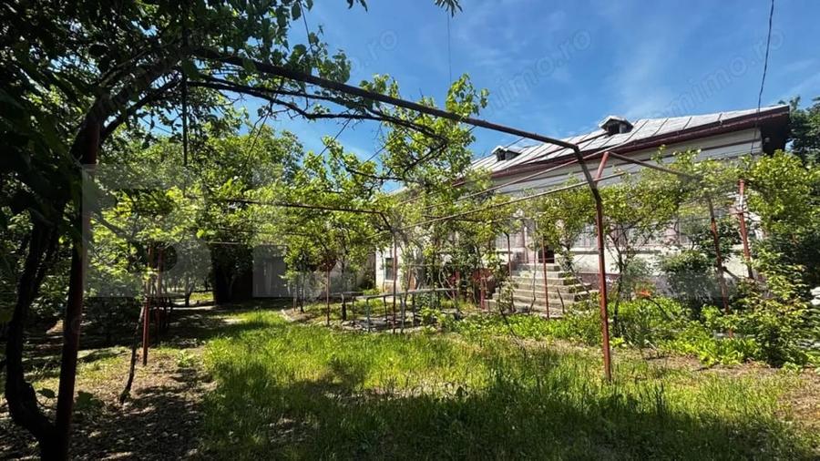 Proprietate cu 2 case, 3.345 mp teren, Balota de Jos, comuna Murga?i - 1