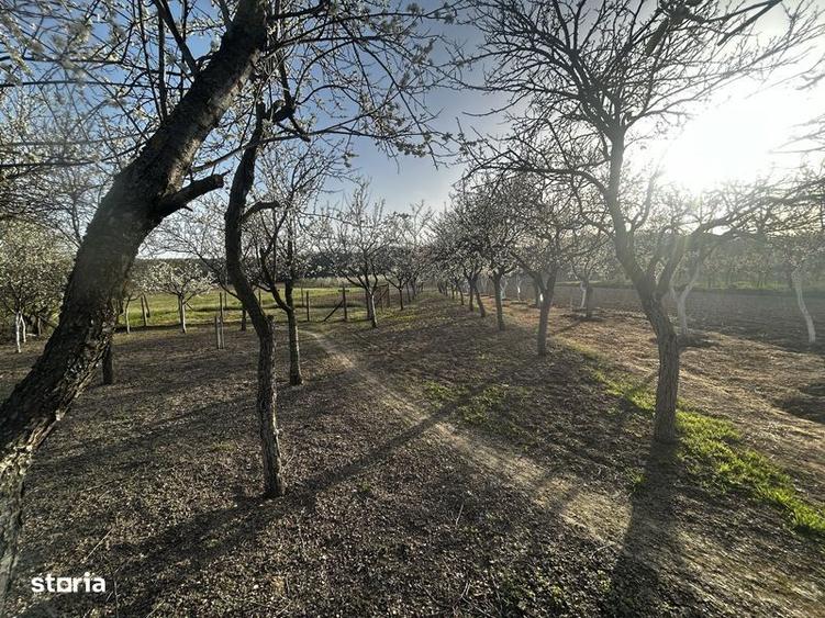 Proprietate Lunca Corbului jud arges 2600 mp - 8