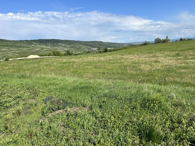 Teren de vanzare Valea Chintaului 1300mp front 24ml - 1