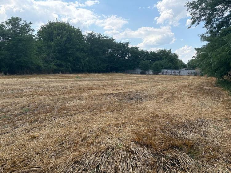 Teren intravilan 2580 mp - Hagiesti - 2