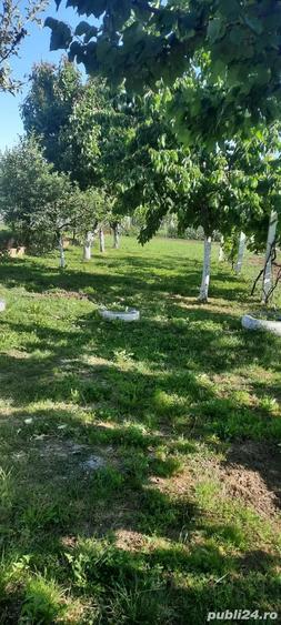 Casa de vanzare Santana - 2