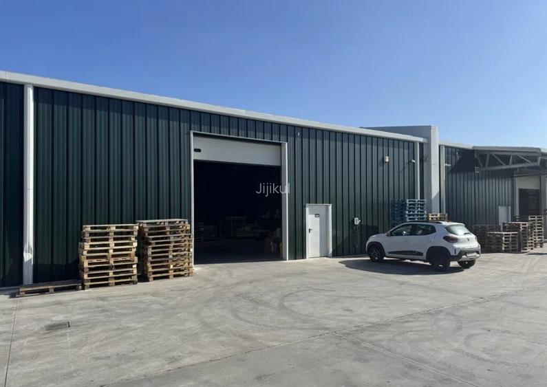 Proprietar inchiriez hala noua 600 mp, pret + TVA, Bors, Bihor