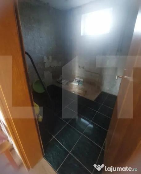 Blitz va ofera spre vanzare casa in Vladimirescu - 10