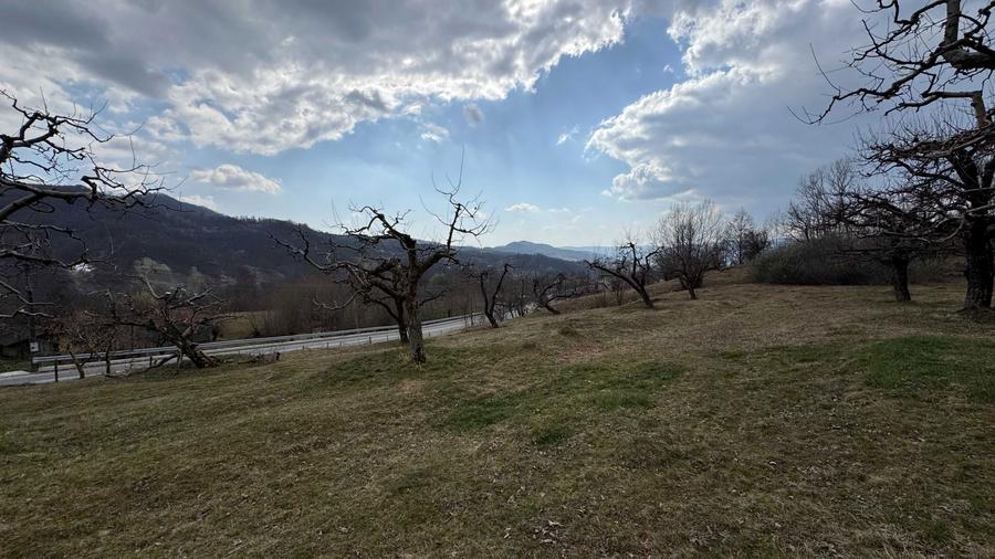 Teren intravilan + extravilan 9844 mp, Malu cu Flori, jud Dambovita - 6