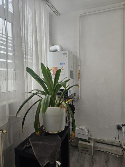 2 CAMERE DECOMANDATE - FALEZA NORD - 6