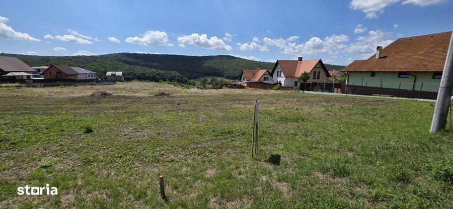 Teren intravilan cu PUZ,constructii,case in Corunca - 4