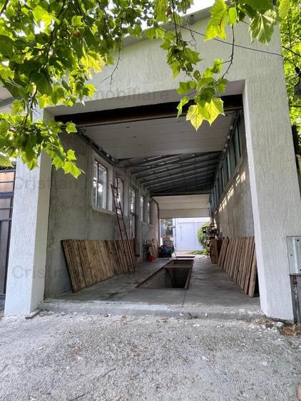 Hala 60 mp, PRETABILA ORICE TIP DE ACTIVITATE, zona Piata Saraca - 5