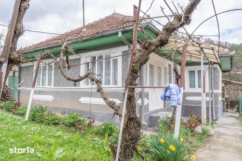 Acasa nu e un apartament. E pe Pietrosu nr. 8, in Zemes. - 17