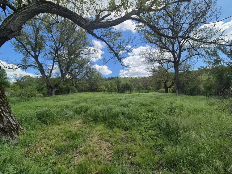 Vand loc de casa Goruia - 5