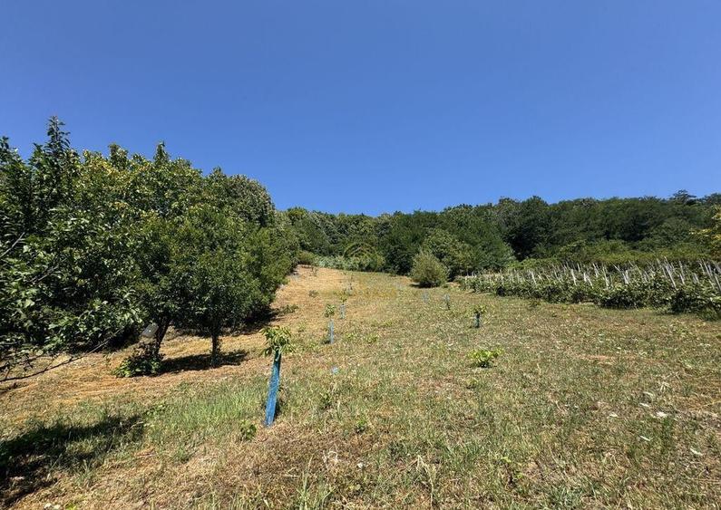 De vanzare Casa cu teren 3500MP in Sabisa/Maramures - 8