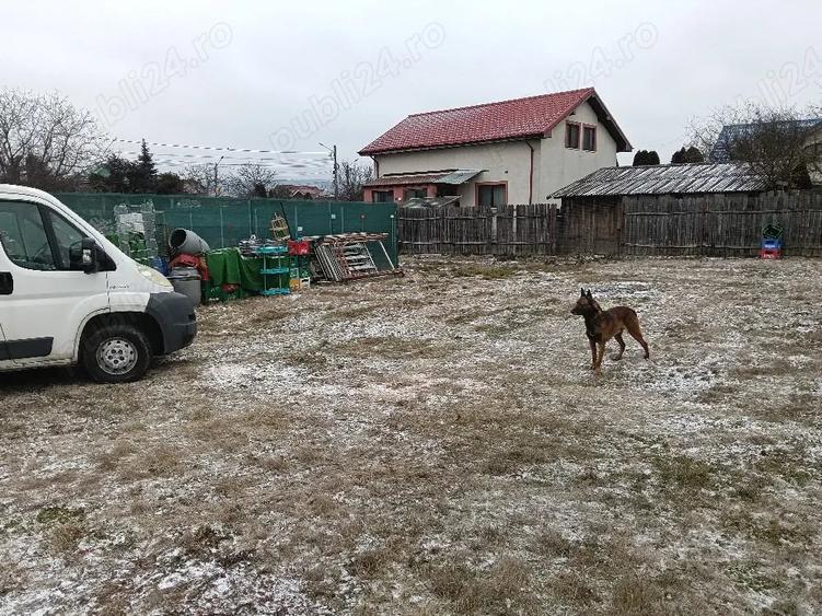 Teren de 800 mp, în Lilieci