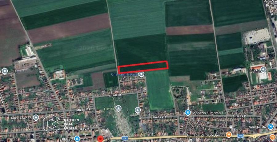 Teren extravilan, 2 hectare, oras Pecica - 1