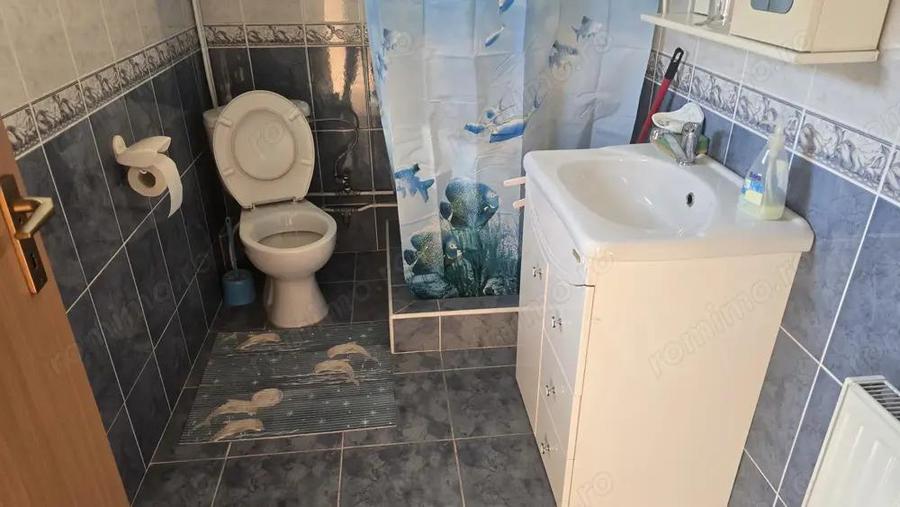 Vand proprietate in Deva. zona Ceangai, compusa din 2 case de locuit, constructii din anul 2003 - 3