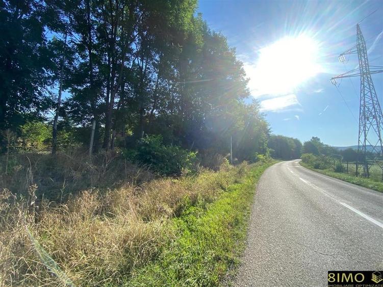 Teren 2000mp cu hala - 3