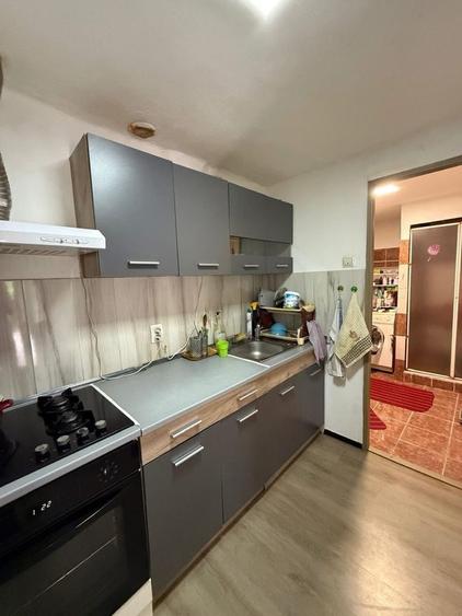 Casa de vanzare in Rasinari cu 1350 mp teren - 3