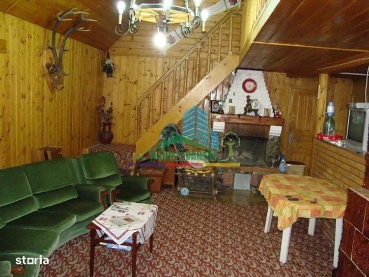 Spațiu comercial, de 450 mp, în Lepșa